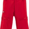 Swix Surmount Shell Bib Pants M