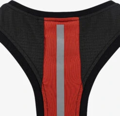 Swix Carbon Singlet W 13 Swix Carbon Singlet W -Swix 40876 99992 detail02