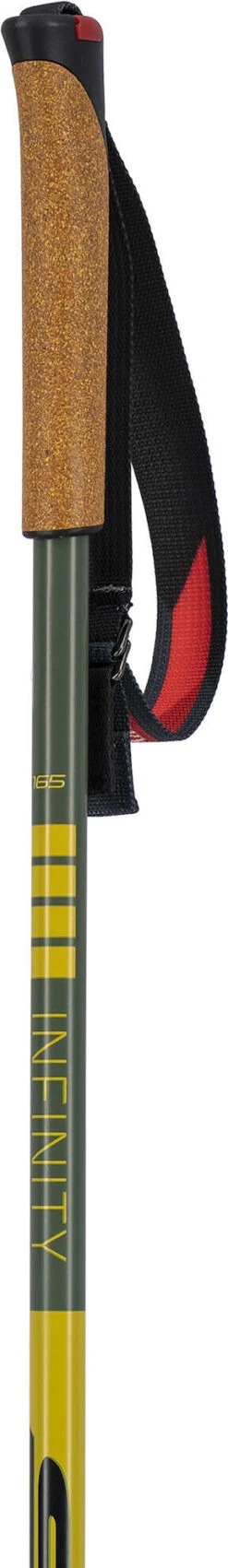 Swix Infinity Sonic Alu Pole -Swix IT111 00 detail02