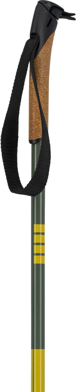 Swix Infinity Basic Alu Pole -Swix IT111 30 detail01