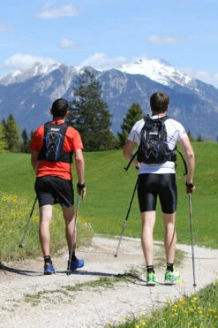 Swix NW Foldable, Alu -Swix Swix NW foldable Alu NW112 00 environment3 jpg