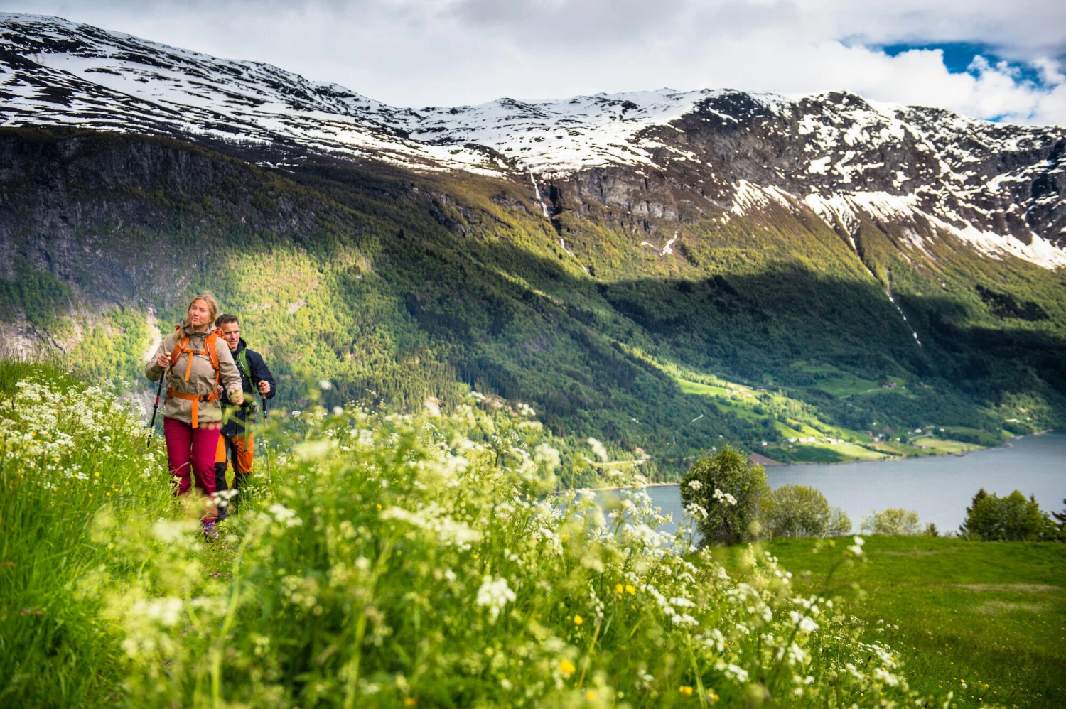 Swix Sonic Mountain 8 Swix Sonic Mountain – Bild 8